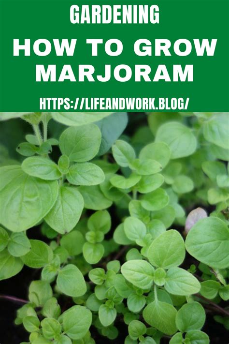 Image result for Java Spring Framework