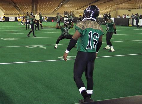 Synthetic-Turf Sportsfield 的图像结果