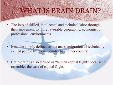 What Is Brain Drain And Why Does It Matter Today?