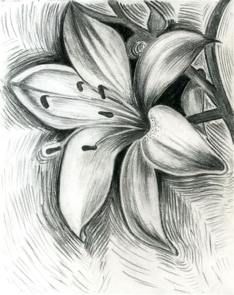 Flower Pencil Art Sketch at Linda Redmon blog