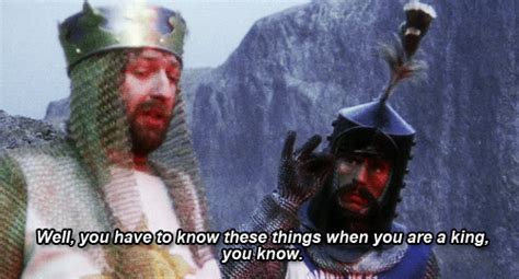 Monty Python Swallow 的图像结果