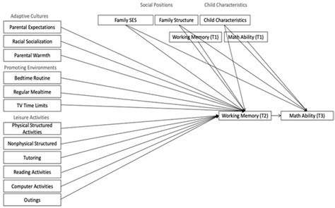 Behavioral Sciences | Special Issue : The Interaction between Cultural ...