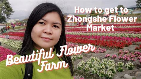 Go to Flower Market 的图像结果