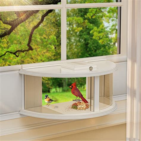 Amazon.com : BAIAPEY in Window Bird Feeders for Viewing - 180° Clear ...