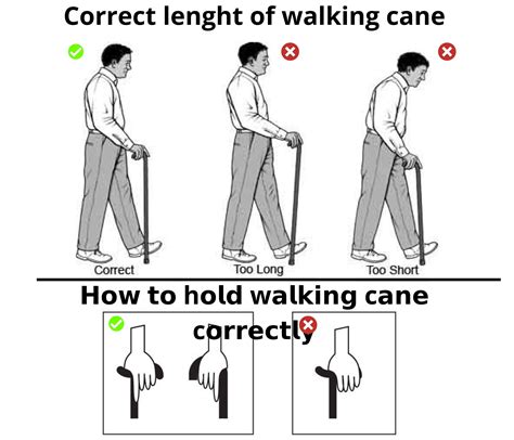 How Do You Use A Walking Stick at Kathleen Rolle blog