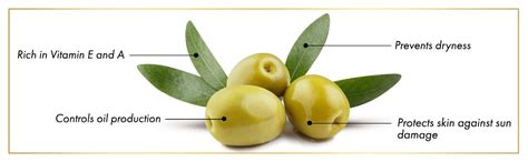 Good Vibes Olive Hydrating Cleansing Oil - 30 ml - Hydrating and Deep ...