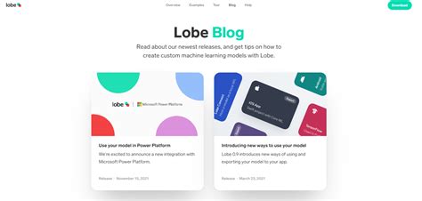 Tutorial Lobe 的图像结果