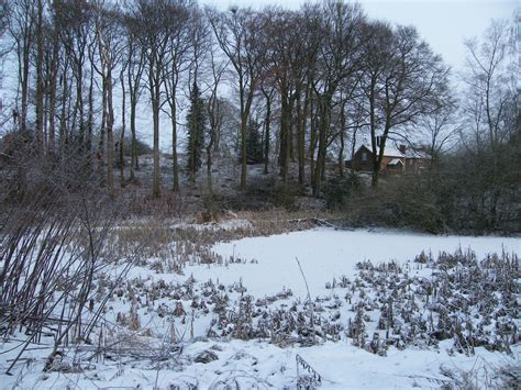 What does an ecologist do in the winter? - Hesketh Ecology