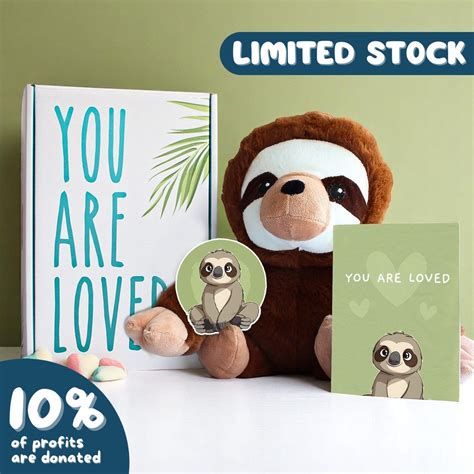 Seth the Sloth 🦥 – Buddy in a Box