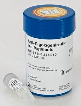Anti-Digoxigenin-AP, Fab fragments from sheep | Sigma-Aldrich