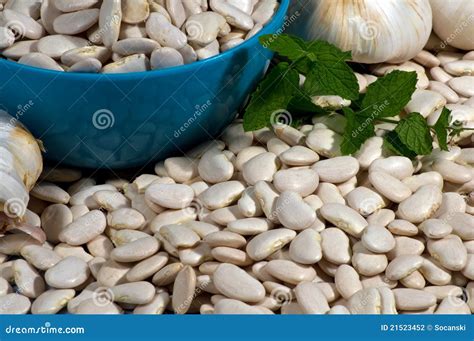 Large Lima Beans stock photo. Image of nutrients, vegetarian - 21523452