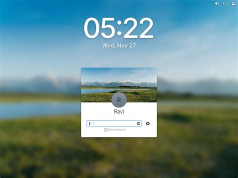 Image result for Panel De Elementary OS