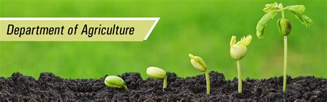 Top Agriculture College