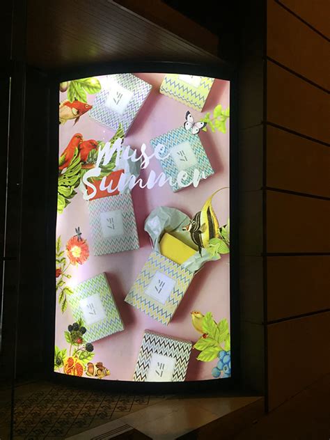 How to Design a Window Display 的图像结果