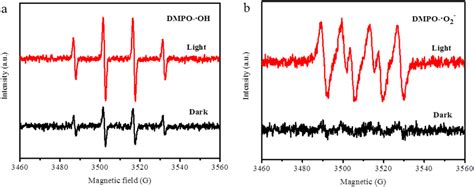 Dmpo H2O2 的图像结果