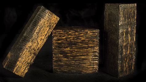 Black Palm :: West Penn Hardwoods