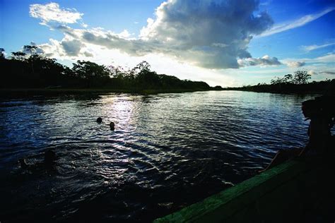 Ämak Iquitos Ecolodge - All Inclusive Restaurant: Pictures & Reviews ...