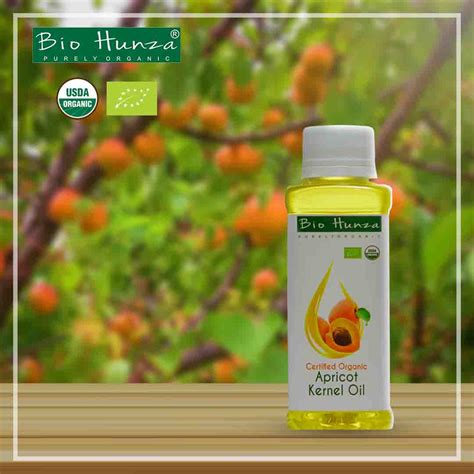 Apricot Oil Benefits for Skin, Face & Hair | BioHunza – Bio Hunza