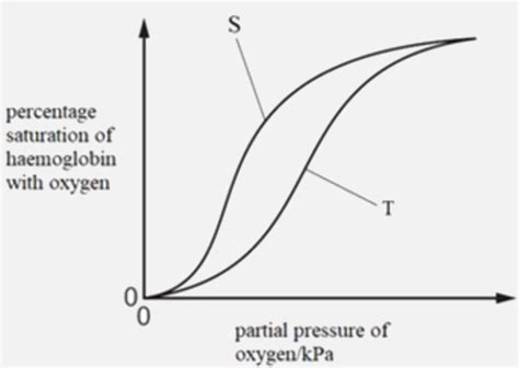 The graph shows the oxygen dissociation curves of haemoglobin from two ...
