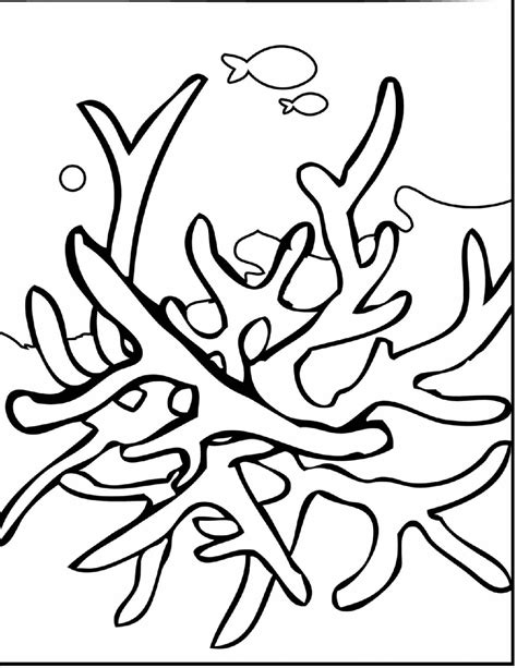 Coral Reef Coloring Pages