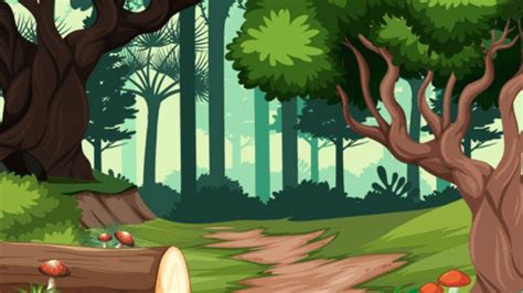 Forest Environment 的图像结果