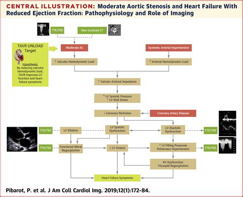 Moderate Aortic Stenosis and Heart Failure With Reduced Ejection Fraction: Can Imaging Guide Us ...