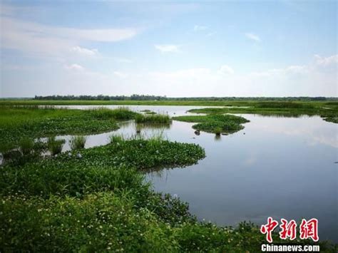 海口五源河湿地公园扩大修复范围 提升旅游化景观生态价值_海口网