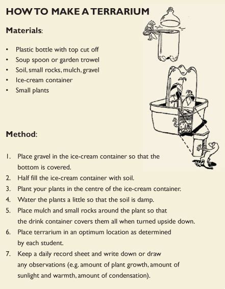 Image result for Example of Procedural Paragraph