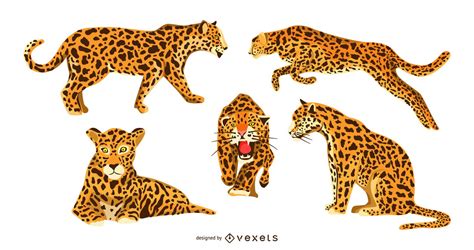 Jaguar Graphic Design Set Vector Download