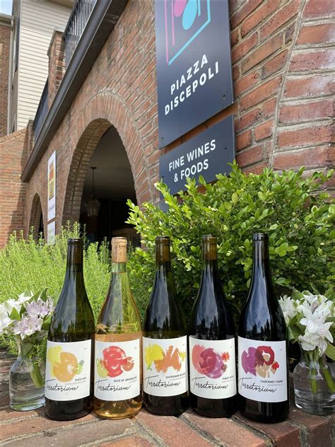 Winemakers Series #3- Ben Matthews of Terratorium, Piazza Discepoli ...