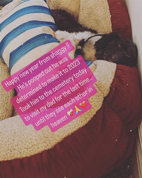 TW Pornstars - TAYLOR STEVENS™ ONLYFANS.COM/TAYSTEVENS. Twitter. Happy new year from shaggy ...