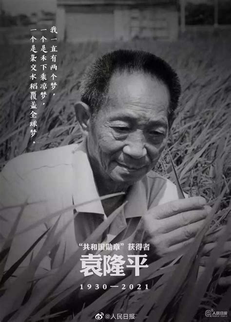 袁隆平逝世，享年91歲！記住這位讓中國人“端牢飯碗”的英雄