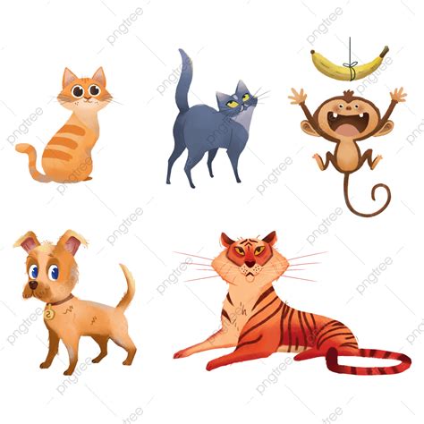 Collection Of Cats Dogs Monkeys Tigers And Animals, Cartoon Animals ...