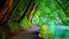Free Background Pics For Desktops by Nature Wallpapers High Resolution Free Desktop Free Background Pics For Desktops