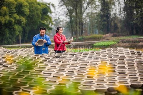 重庆北碚：学习竹编技艺 感受传统文化