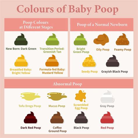 Diaper Info 👶🏻 | Baby pooping, Baby care tips, Baby poop guide
