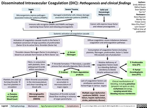Disseminated Intravascular Coagulation (DIC) | Calgary GuideCalgary Guide