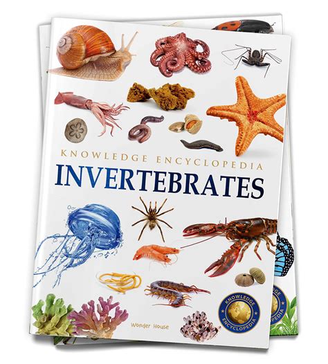 Knowledge Encyclopedia Invertebrates – BookStation