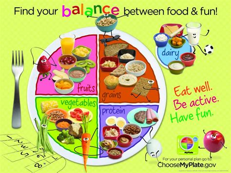 Buy Learning ZoneXpress MyPlate 18 x 24 in Laminated English , Ages 2 ...