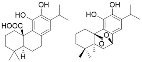 A Validated Method for the Determination of Carnosic Acid and Carnosol ...