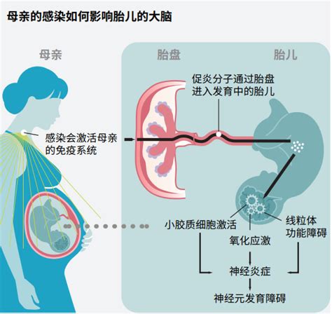 睡亡母生前床上感染同种病毒最新素材