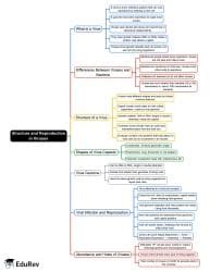 Structure and Reproduction in Viruses Mind Map - UPSC PDF Download