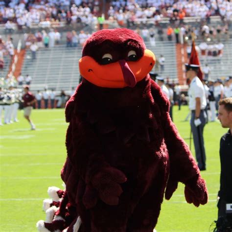 Dive Into Hokie Spa: Your Gateway To Campus Wellness