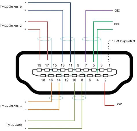 Cable Connections for TV 的图像结果
