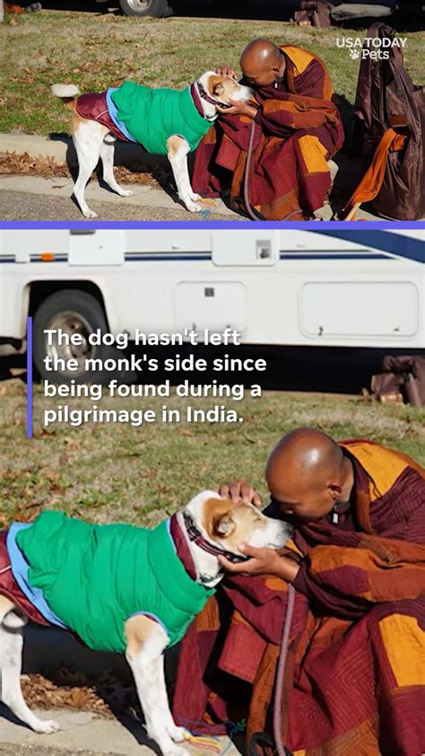 Binghamton... - pressconnects.com / Press & Sun-Bulletin | Facebook