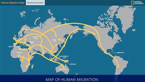 Human Migration Patterns 的图像结果