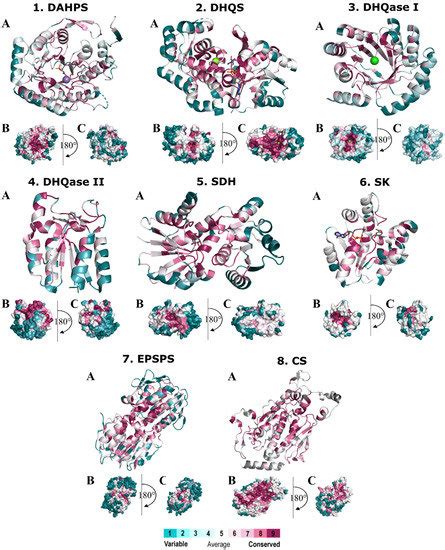 An Evolutionary Conservation and Druggability Analysis of Enzymes ...