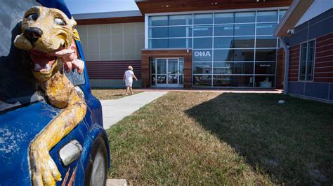 Paws & Play: Wilmington's Delaware Humane Association | TouristSecrets