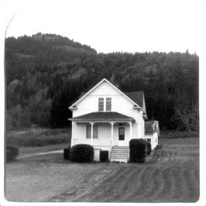 Buy Window Online at Low Prices in India | Amazon Music Store - Amazon.in