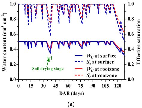 Modeling of Soil Water Regime and Water Balance in a Transplanted Rice ...